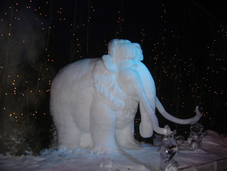 ***************** Hei feelt eng Foto **************